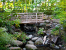 north%20woods%20footbridge.jpg